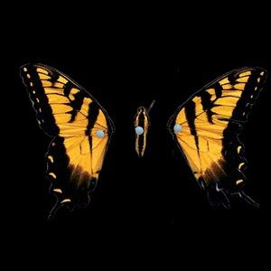 Meet your Posher, Marina